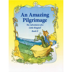 An Amazing Pilgrimage The Adventures of a Little Ringtail Book II