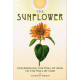 The Sunflower: Conforming the Will of Man to the Will of God