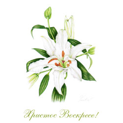 Russian Easter Cards - pack of 3